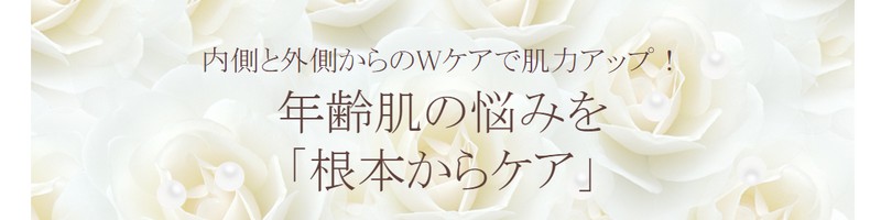 �t���[���X���ϕi�@��̓H���T�C�g